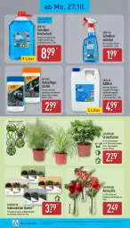 Gazetka promocyjna Aldi Nord - Von Montag - Gazetka - ważna od 01.11 do 01.11.2025 - strona 20 - produkty: adblue, auto, Blüte, Brei, eis, ente, flasche, gin, kulturtopf, pflanze, pflanzen, Sukkulente, Ti, topf, tücher, Vase, ZTE