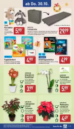 Gazetka promocyjna Aldi Nord - Von Montag - Gazetka - ważna od 01.11 do 01.11.2025 - strona 23 - produkty: Bau, baumwolle, Blüte, Brei, buch, dell, eis, elle, ente, Faltmatratze, kulturtopf, LEGO City, matratze, Mode, perlen, pflanze, phalaenopsis, Rauch, reis, tee, Ti, topf, übertopf, Weihnachtsstern, wolle