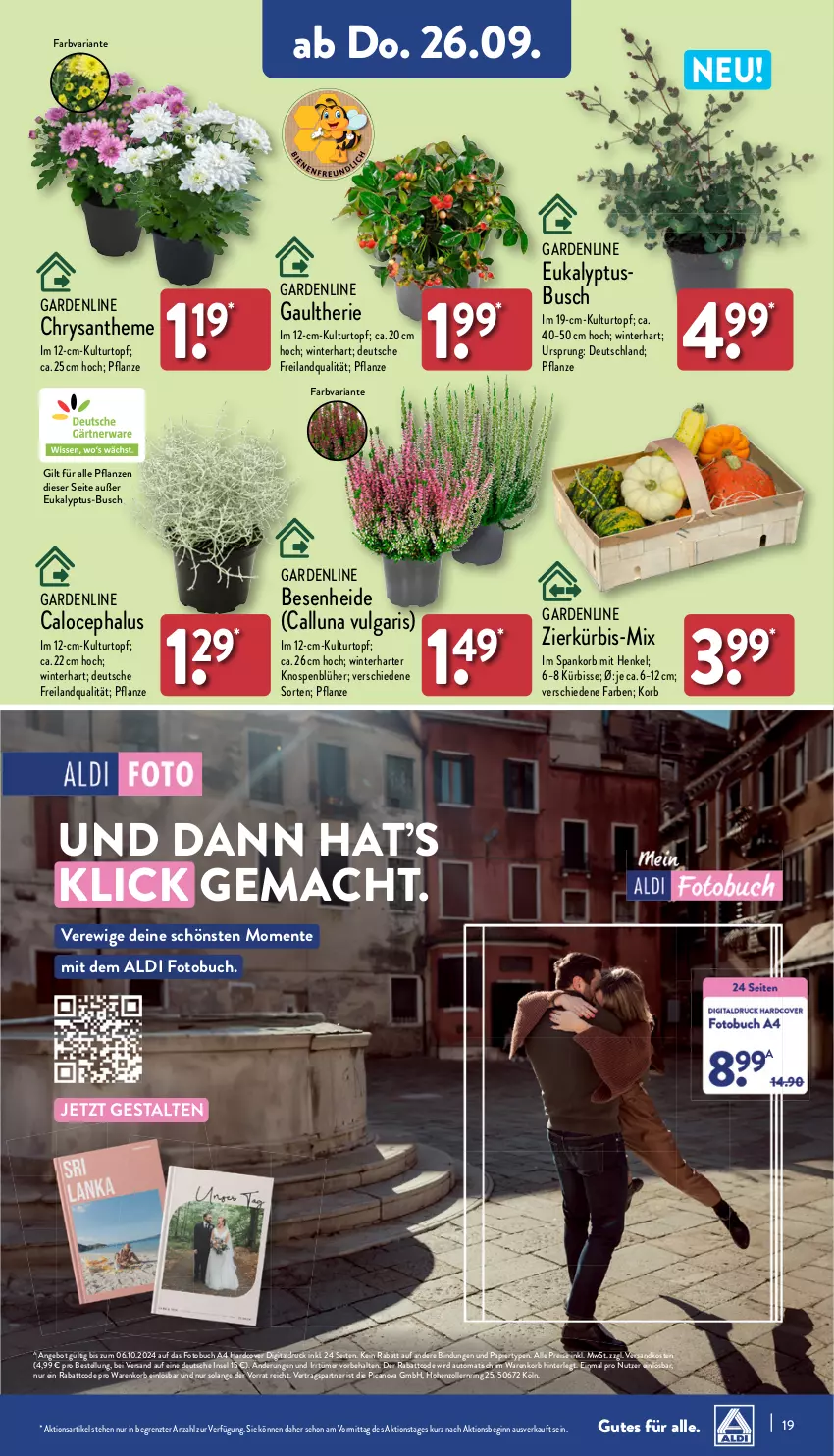 Aktueller Prospekt Aldi Nord - Von Montag - von 23.09 bis 28.09.2024 - strona 19 - produkty: aldi, angebot, auto, buch, eis, ente, Fotobuch, gin, henkel, korb, kulturtopf, Kürbis, LG, mac, ndk, papier, pflanze, pflanzen, reis, Ria, ring, Ti, tisch, topf, ZTE