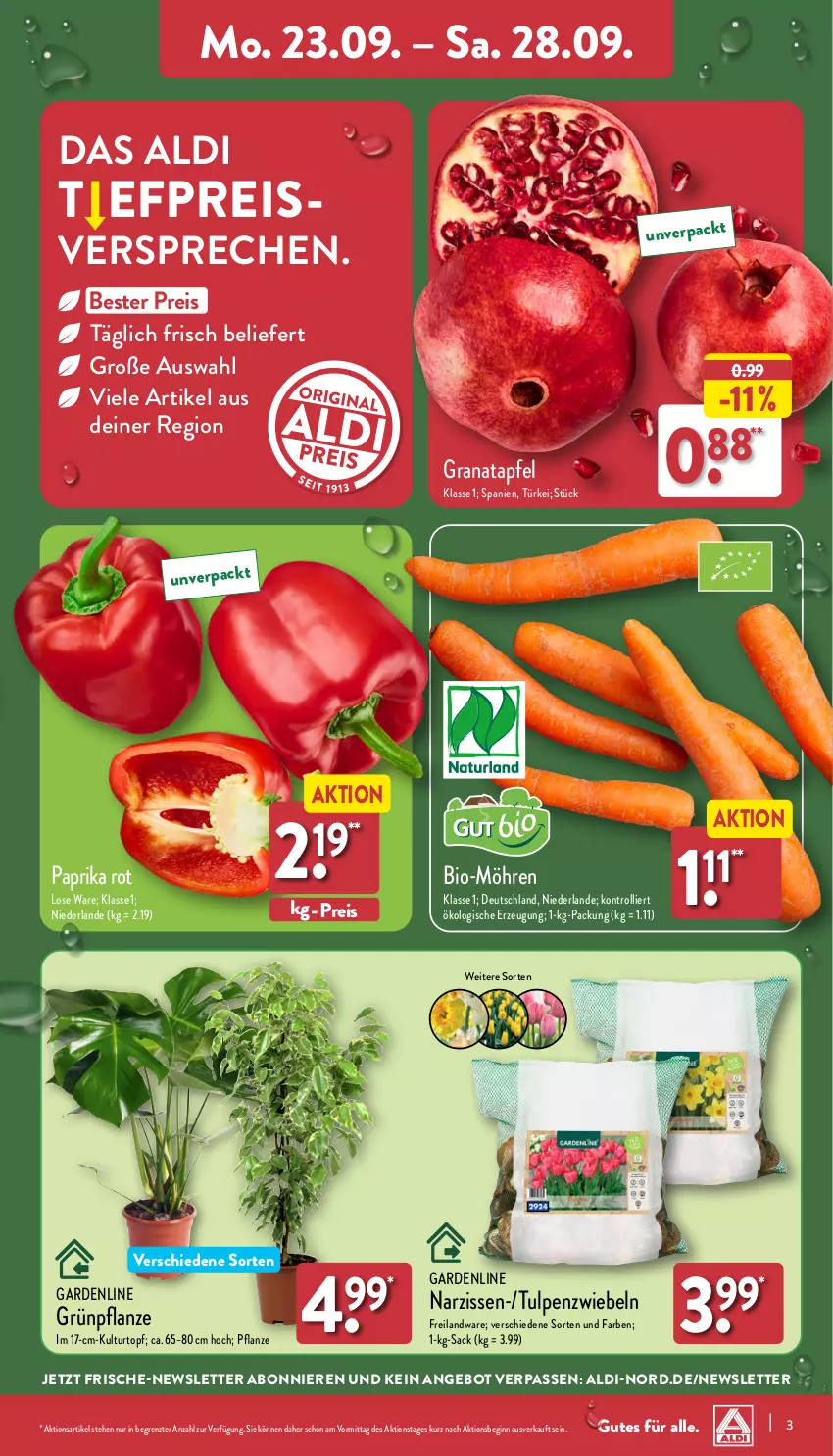 Aktueller Prospekt Aldi Nord - Von Montag - von 23.09 bis 28.09.2024 - strona 3 - produkty: aldi, angebot, apfel, bio, eis, gin, grana, granatapfel, kulturtopf, möhren, Narzissen, paprika, paprika rot, pflanze, Rana, reis, sac, Ti, topf, trolli, ZTE, zwiebel, zwiebeln