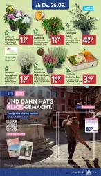 Gazetka promocyjna Aldi Nord - Von Montag - Gazetka - ważna od 28.09 do 28.09.2024 - strona 19 - produkty: aldi, angebot, auto, buch, eis, ente, Fotobuch, gin, henkel, korb, kulturtopf, Kürbis, LG, mac, ndk, papier, pflanze, pflanzen, reis, Ria, ring, Ti, tisch, topf, ZTE