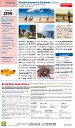 Gazetka promocyjna Lidl - Monatliche Reise-Highlights - Gazetka - ważna od 31.05 do 31.05.2023 - strona 2 - produkty: ambia, angebot, angebote, auer, Bad, bavaria fernreisen gmbh, Berger, Brei, buch, deo, eis, elle, ente, erde, gsw, Holz, inklusivleistungen, klimatisierten reisebus, kreuzfahrten, LG, merci, pfanne, reis, reiseveranstalter, reiseverlauf, reiss, rel, Ria, ring, sim, simba, telefon, Ti, uhr, usb, wasser