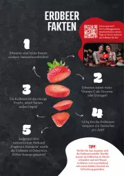 Gazetka promocyjna Marktkauf - Prospekt - Gazetka - ważna od 18.05 do 18.05.2024 - strona 49 - produkty: ananas, beere, beeren, elle, erdbeere, erdbeeren, frucht, früchte, Liege, nuss, Ria, vita, Vitamin C, zitrone, zitronen
