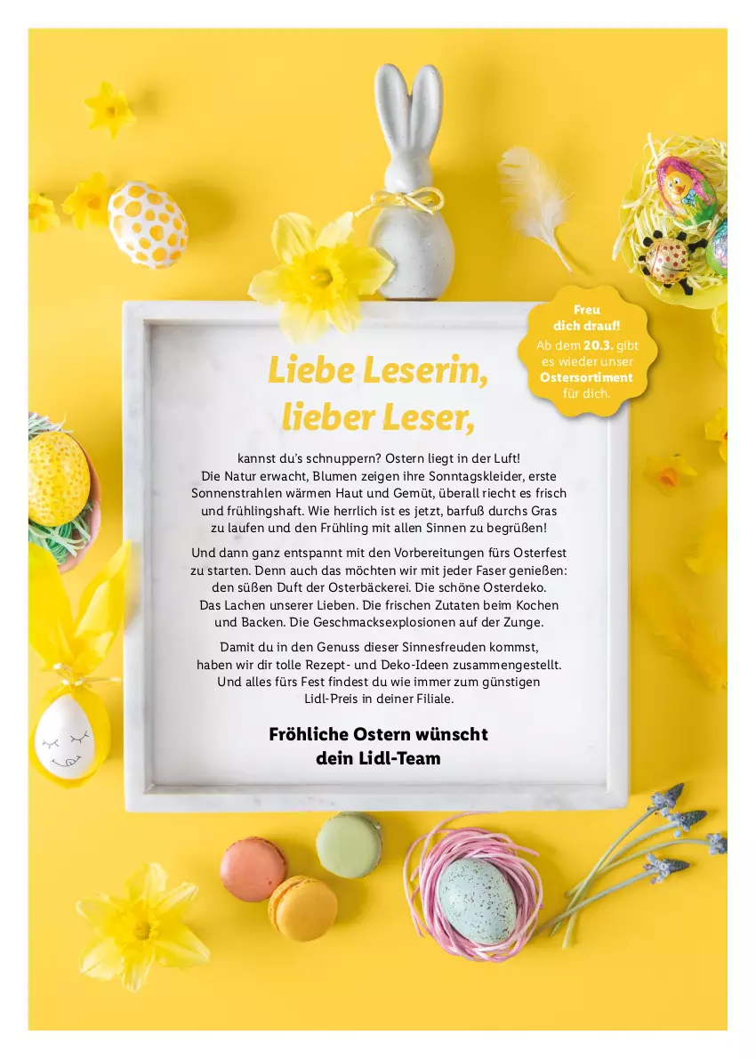 Aktueller Prospekt Lidl - Ostermagazin - von 12.03 bis 08.04.2023 - strona 2 - produkty: blume, blumen, eis, erde, kleid, kleider, Laufen, mac, natur, nuss, reis, rezept, Ti