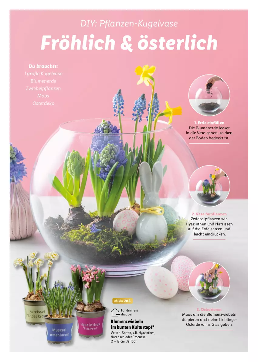 Aktueller Prospekt Lidl - Ostermagazin - von 12.03 bis 08.04.2023 - strona 42 - produkty: blume, blumen, blumenerde, erde, Kugel, kulturtopf, Narzissen, pflanze, pflanzen, Rauch, topf, Vase, zwiebel, zwiebeln