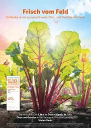 Gazetka promocyjna Lidl - Ostermagazin - Gazetka - ważna od 08.04 do 08.04.2023 - strona 22 - produkty: Abtei, angebot, decke, discount, eis, ente, frucht, magazin, obst, Obst und Gemüse, reis, Ti, und gemüse