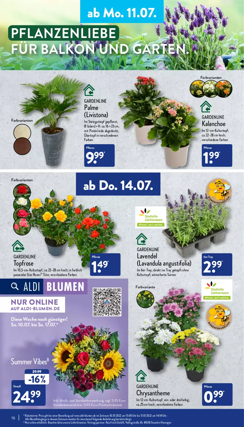 Aktueller Prospekt Aldi Nord - Aldi-Aktuell - von 11.07 bis 16.07.2022 - strona 16 - produkty: aldi, blume, blumen, Blüte, Brei, eis, elle, erde, Garten, hero, Kalanchoe, kulturtopf, lavendel, LG, pflanze, pflanzen, reis, Ria, rind, Ti, topf, Tüte, übertopf, uhr