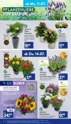 Gazetka promocyjna Aldi Nord - Aldi-Aktuell - Gazetka - ważna od 16.07 do 16.07.2022 - strona 16 - produkty: aldi, blume, blumen, Blüte, Brei, eis, elle, erde, Garten, hero, Kalanchoe, kulturtopf, lavendel, LG, pflanze, pflanzen, reis, Ria, rind, Ti, topf, Tüte, übertopf, uhr