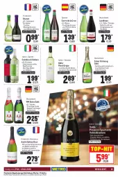 Gazetka promocyjna Metro - GastroJournal - Gazetka - ważna od 09.02 do 09.02.2022 - strona 19 - produkty: apfel, Birnen, Blüte, brut, Casali, cuvée, ecco, eis, elle, flasche, frucht, früchte, gallo, getränk, getränke, honig, honigmelone, käfer, mac, melone, merl, mm extra, mousse, Müller, Müller-Thurgau, Palette, pfirsich, Pinot, pinot grigio, primitivo, prosecco, puma, Rauch, sauvignon, sekt, spumante, Ti, tisch, top-hit, valdo, wein, zitrone, zitronen