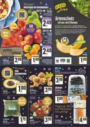 Gazetka promocyjna E Center - Angebote der Woche - Gazetka - ważna od 18.12 do 18.12.2021 - strona 3 - produkty: avocado, avocados, banane, bananen, beutel, bio, clementinen, creme, eis, erde, , frucht, lachs, Muscheln, pfeffer, salat, sauce, Schal, Schale, schlauch, schnitten, Spezi, tafeläpfel, tee, Ti, Tiere