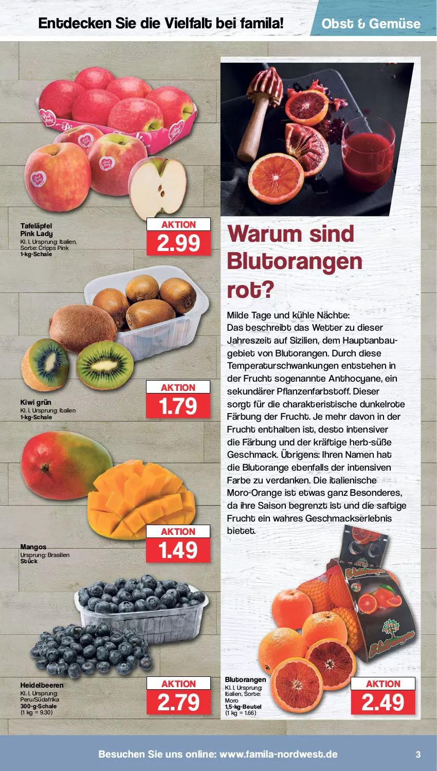 Aktueller Prospekt Famila - Prospekte - von 16.01 bis 21.01.2023 - strona 3 - produkty: Bau, beere, beeren, beutel, Blutorange, decke, frucht, heidelbeere, heidelbeeren, kiwi, mac, mango, mangos, obst, orange, orangen, pflanze, pflanzen, Pink Lady, rum, saft, Schal, Schale, tafeläpfel, Ti, tisch