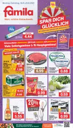 Gazetka promocyjna Famila - Prospekte - Gazetka - ważna od 21.01 do 21.01.2023 - strona 1 - produkty: angebot, angebote, aust, Becher, beutel, chantré, chips, crunchips, eis, elle, energizer, flasche, frischkäse, Käse, kohlrabi, lebensmittel, lorenz, lorenz crunchips, philadelphia, pils, pilsener, pizza, reis, Schal, Schale, schnitzel, schwein, Ti, wagner, wein, weinbrand, ZTE