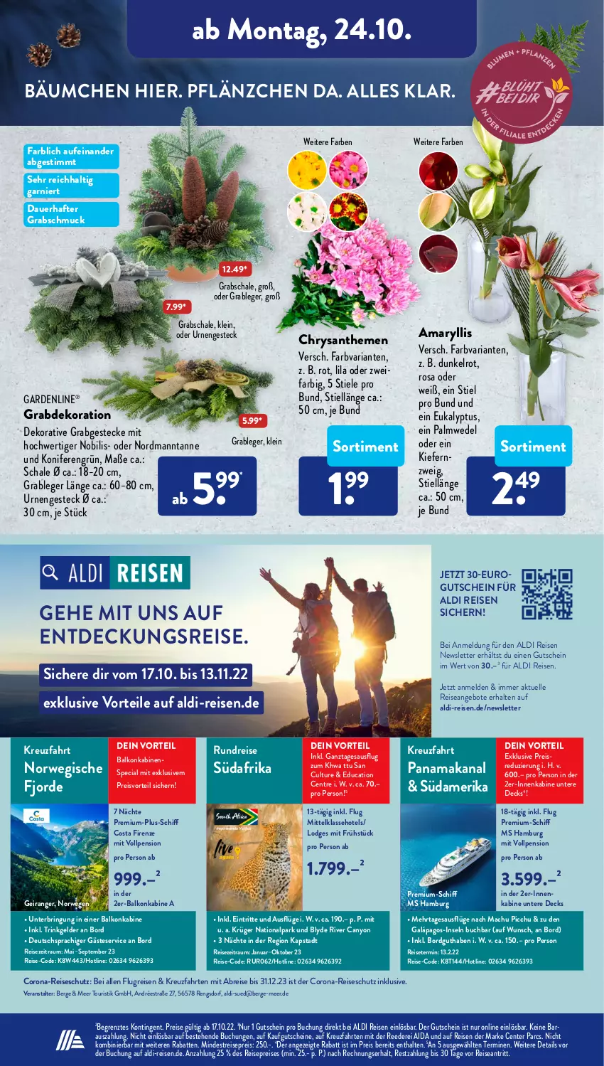 Aktueller Prospekt AldiSud - NÄCHSTE WOCHE - von 24.10 bis 29.10.2022 - strona 20 - produkty: aldi, angebot, angebote, auer, balkonkabine, Brei, buch, chrysanthemen, corona, dekoration, eis, elle, ente, gardenline®, garnier, Grabschale, gutschein, gutscheine, Konifere, kreuzfahrten, krüger, mac, Pago, preisvorteil, reis, Ria, ring, rwe, Schal, Schale, Schmuck, Ti, wedel, Yo, ZTE