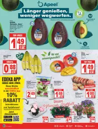 Gazetka promocyjna Edeka - Angebote der Woche - Gazetka - ważna od 04.06 do 04.06.2022 - strona 10 - produkty: aktionspreis, auer, avocado, banane, bananen, blume, blumen, deka, eis, flasche, fleisch, google play, mango, nuss, pfirsich, pfirsiche, pflanze, pflanzen, plattpfirsiche, Radicchio, reis, salat, salatsauce, sauce, Schal, Schale, spinat, Sylter, Ti, top-preis, topf, ZTE, Zum Dorfkrug