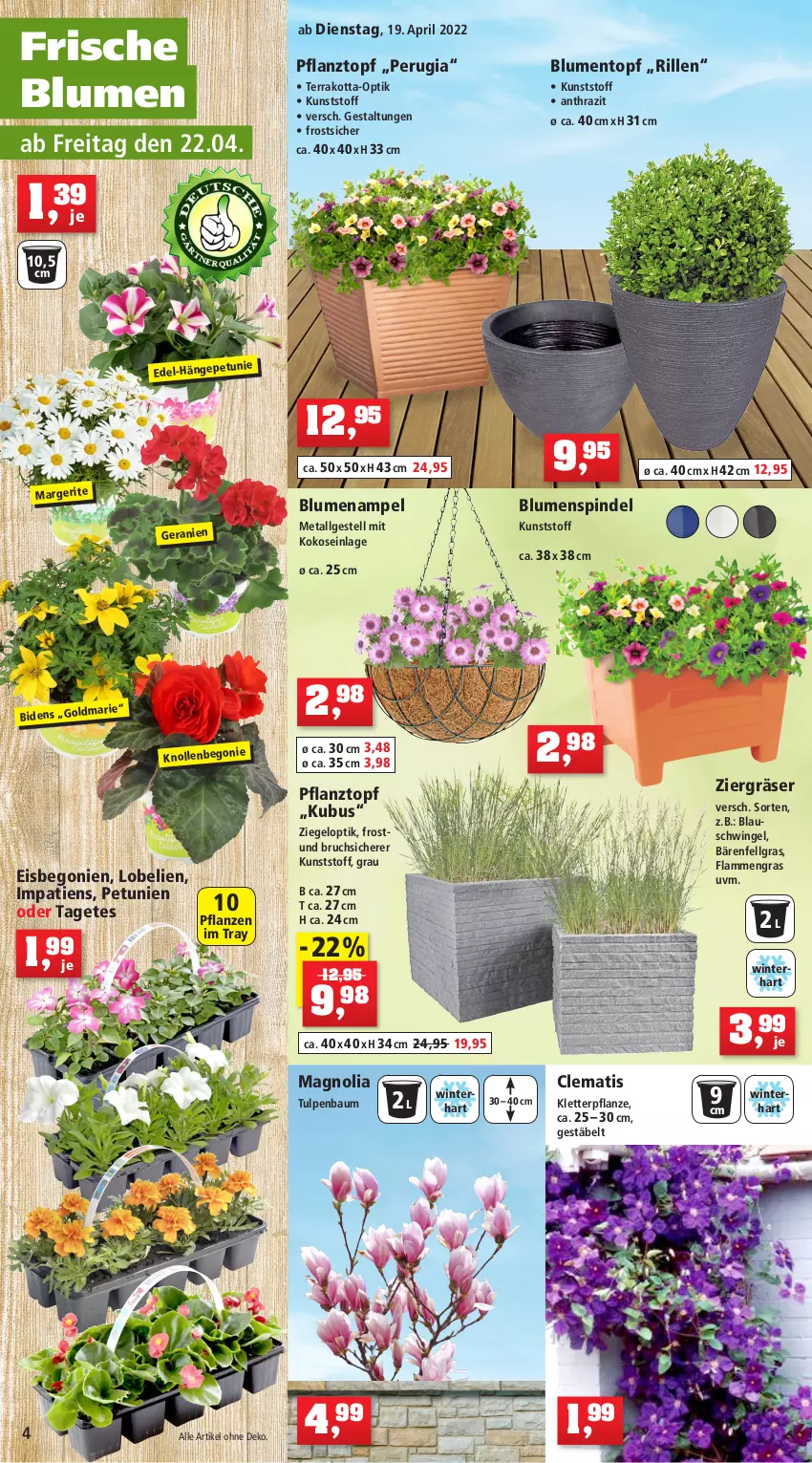 Aktueller Prospekt Thomas Philipps - Prospektwerbung - von 15.04 bis 23.04.2022 - strona 4 - produkty: anzünder, Bau, Beetumrandung, Begonie, blume, blumen, Blumenampel, braun, dünger, eimer, eis, elle, Garten, gartenschlauch, geranie, geranien, Gießkanne, grill, haselnuss, Holz, HP, jumbo, Kamin, kokos, Komposter, Kraut, küche, Küchen, lamm, latte, LG, Lobelie, natur, nuss, petunie, petunien, pflanze, pflanzen, Pflanztopf, pril, rasen, rasendünger, rasensamen, rind, rinder, schlauch, Schrank, Sport, staketenzaun, Ti, tisch, topf, wasser