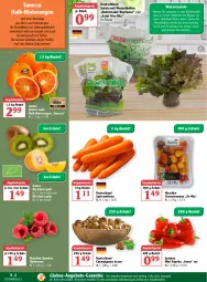 Gazetka promocyjna Globus - Prospekte - Gazetka - ważna od 15.01 do 15.01.2022 - strona 2 - produkty: angebot, angebote, angebotspreis, ball, beere, beeren, beutel, bio, Blutorange, braun, butter, champignon, champignons, champignons braun, cherrytomaten, eis, elle, fleisch, frucht, früchte, fruchtfleisch, himbeer, himbeere, himbeeren, kiwi, kopfsalat, kühlschrank, möhren, orange, orangen, paprika, reis, saft, Saftorangen, salat, salate, Schal, Schale, Schrank, speisemöhren, Ti, tisch, tomate, tomaten, wasser