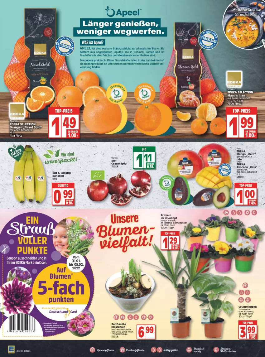 Aktueller Prospekt Edeka - Angebote der Woche - von 31.01 bis 05.02.2022 - strona 2 - produkty: avocado, banane, bananen, bio, blume, blumen, Cap, cola, coupon, deka, deutschland card, deutschlandcard, eis, fleisch, frucht, früchte, fruchtfleisch, grana, Granatäpfel, Grünpflanzen, mandarine, mandarinen, mango, monster, Monstera, nuss, orange, orangen, pflanze, pflanzen, Primeln, Rana, reis, rwe, Schal, Schale, Ti, tisch, top-preis, topf, übertopf, und gemüse, ZTE, zwiebel