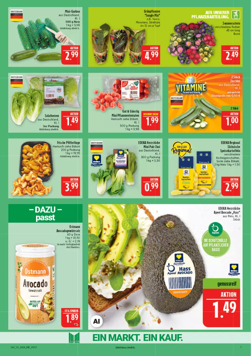 Aktueller Prospekt Marktkauf - Prospekt - von 09.08 bis 15.08.2026 - strona 7 - produkty: avocado, deka, eis, gewürz, gewürzsalz, Grünpflanzen, gurke, gurken, kartoffel, kartoffeln, mini-gurken, monster, Monstera, nuss, Pfifferlinge, pflanze, pflanzen, pflaume, pflaumen, rel, salat, salatherzen, salz, speisekartoffeln, Ti, tomate, tomaten, topf, zucchini