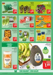 Gazetka promocyjna Marktkauf - Prospekt - Gazetka - ważna od 15.08 do 15.08.2026 - strona 7 - produkty: avocado, deka, eis, gewürz, gewürzsalz, Grünpflanzen, gurke, gurken, kartoffel, kartoffeln, mini-gurken, monster, Monstera, nuss, Pfifferlinge, pflanze, pflanzen, pflaume, pflaumen, rel, salat, salatherzen, salz, speisekartoffeln, Ti, tomate, tomaten, topf, zucchini