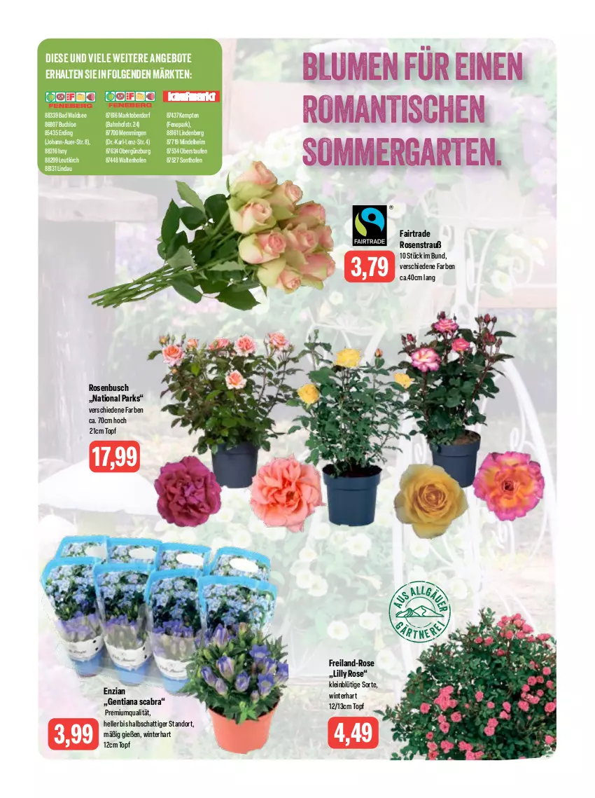 Aktueller Prospekt Feneberg - Prospekte - von 15.06 bis 17.06.2023 - strona 15 - produkty: angebot, angebote, auer, Bad, blume, blumen, buch, chloe, elle, emmi, Garten, LG, Ofen, rosen, Rosenstrauß, Ti, tisch, topf