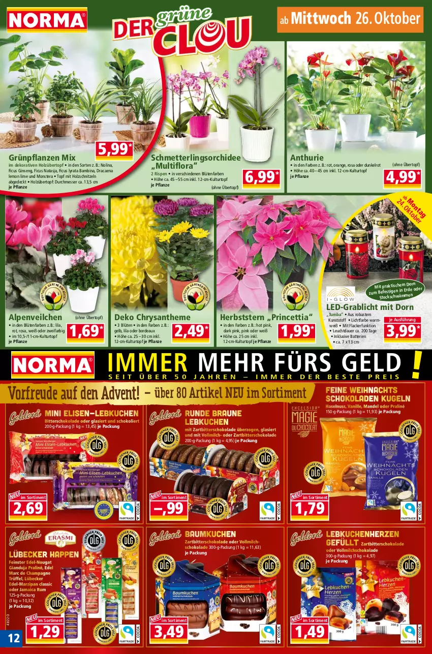 Aktueller Prospekt Norma - Norma - von 24.10 bis 31.10.2022 - strona 12 - produkty: Alpenveilchen, auer, batterie, batterien, Bau, Blüte, braun, champagne, erde, Ficus, gin, Grünpflanzen, haselnuss, Holz, kuchen, Kugel, kulturtopf, lack, Lacke, Lebkuchen, Lübecker, mandel, marzipan, messer, Mett, milch, monster, Monstera, nuss, orange, orchidee, pflanze, pflanzen, rum, Schmetterling, schmetterlingsorchidee, schnitzel, schoko, schokolade, schokoladen, Ti, tisch, topf, Trüffel, übertopf, vanille, vollmilch, Zartbitterschokolade