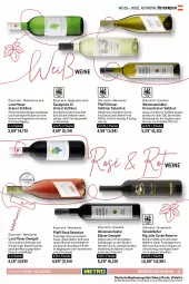 Gazetka promocyjna Metro - Wein & Spirituosen - Gazetka - ważna od 05.10 do 05.10.2022 - strona 15 - produkty: alkohol, auer, Bad, beere, beeren, blauer zweigelt, blume, blumen, brombeere, brombeeren, burgunder, cuvée, eier, eis, erdbeere, erdbeeren, Faktu, flasche, fleisch, fritz, frucht, früchte, früchten, Geflügel, getränk, getränke, gewürz, gin, grapefruit, grill, grüner veltliner, himbeer, himbeere, himbeeren, karamell, kirsch, kirsche, kirschen, Kloster Eberbach, Kürbis, lachs, leine, Lenz Moser, mac, mandarine, mandarinen, mandel, mandeln, merl, mit frucht, moser, Nuance, Palette, pfeffer, pfirsich, Pinot, pinot noir, roséwein, rotwein, Rubin, saft, spätburgunder, Ti, vorspeise, wein, weine, WICK, Zweigelt