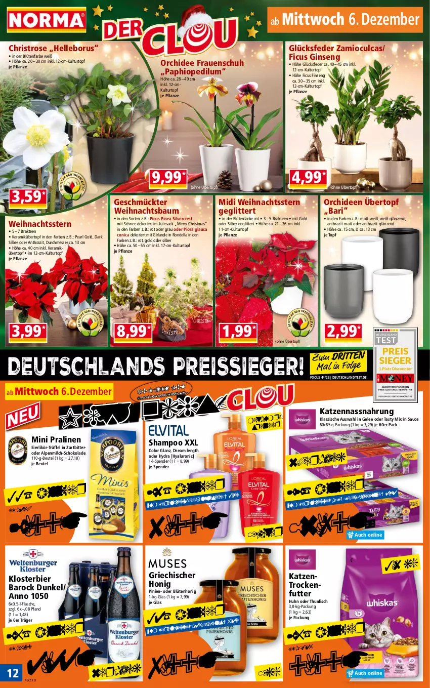 Aktueller Prospekt Norma - Norma - von 04.12 bis 11.12.2023 - strona 12 - produkty: alpenmilch, Bau, beutel, bier, Blüte, blütenhonig, dell, eier, eierlikör, eis, elle, Ficus, fisch, flasche, gelee, gin, Girlande, honig, hyaluron, Katzentrockenfutter, kulturtopf, LG, likör, messer, milch, Nassnahrung, orchidee, orchideen, pflanze, pralinen, reis, reiss, Rondell, sac, sauce, schoko, schokolade, shampoo, silvercrest, tee, tesa, thunfisch, topf, trockenfutter, Trüffel, übertopf, Weihnachtsbaum, Weihnachtsstern