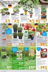 Gazetka promocyjna  - Gazetka - ważna od 06.04 do 06.04.2024 - strona 4 - produkty: apfel, beutel, bio, Container, dünger, eis, ente, Erdbeerpflanze, erde, fleisch, Gemüseerde, gewürz, gurke, gurken, Kraut, kräuter, obst, paprika, paprika rot, peperoni, Peroni, pflanze, pflanzen, pflanzerde, rasen, rasendünger, Rasenerde, rasensamen, Rauch, sac, salat, Schal, Schale, snack, Spezi, Ti, Tiere, tomate, tomaten, topf, und gemüse, vita, vitalis