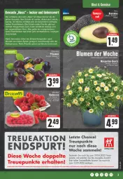 Gazetka promocyjna Edeka - Angebote der Woche - Gazetka - ważna od 29.04 do 29.04.2023 - strona 3 - produkty: aktionspreis, angebot, apfel, avocado, avocados, blume, blumen, eis, erde, fleisch, frucht, früchte, fruchtfleisch, Hefte, HP, leine, mac, nuss, obst, orange, pflaume, pflaumen, reifen, reis, Schal, Schale, tee, Ti, tisch, topf, uhr, ZTE