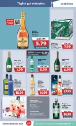 Gazetka promocyjna Combi - Prospekte - Gazetka - ważna od 05.03 do 05.03.2022 - strona 19 - produkty: Aalborg, ball, Becher, Becherovka, chantré, cranberry, dry gin, ecco, eis, flasche, frucht, geldermann, getränk, getränke, gin, hero, Jubiläums, kräuter, kräuterlikör, likör, london dry, london dry gin, moskovskaya, regal, reis, rezept, rezept-tipp, Ria, saft, scotch, scotch whisky, sekt, single malt, skyy, Skyy Vodka, Tanqueray, Ti, tonic, underberg, vodka, wein, weinbrand, whisky