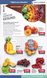 Gazetka promocyjna Combi - Prospekte - Gazetka - ważna od 05.03 do 05.03.2022 - strona 3 - produkty: ananas, beere, beeren, beutel, bio, Brei, eis, fleisch, himbeer, himbeere, himbeeren, Lusti, Nektar, nektarinen, obst, Obst und Gemüse, orange, orangen, saft, Saftorangen, Salus, Schal, Schale, tafeläpfel, tafeltrauben, Ti, tisch, trauben, und gemüse, vita, zitrone, zitronen