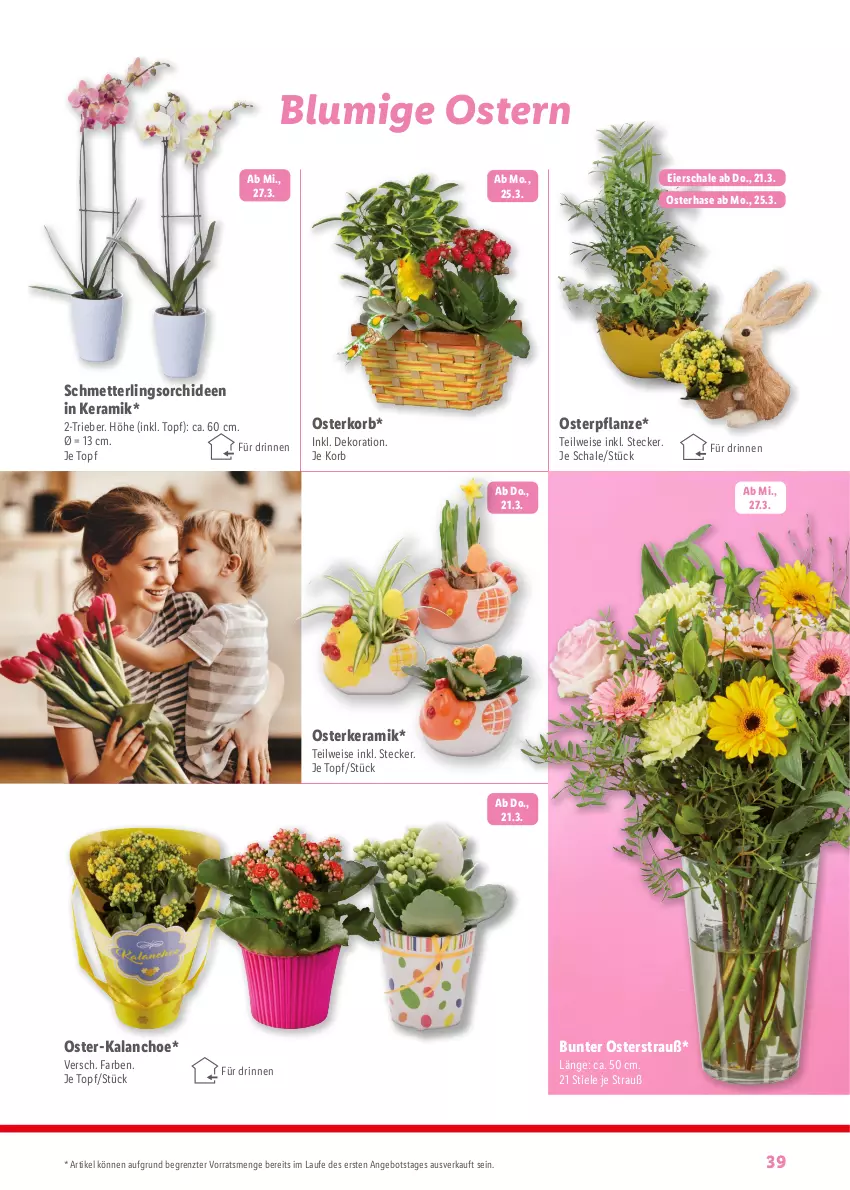 Aktueller Prospekt Lidl - Fantastische Ostermomente - von 11.03 bis 01.04.2024 - strona 39 - produkty: angebot, dekoration, eier, eis, Kalanchoe, korb, Mett, orchidee, orchideen, pflanze, Schal, Schale, Schmetterling, schmetterlingsorchidee, Ti, topf, ZTE