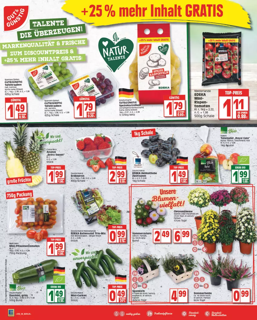 Aktueller Prospekt Edeka - Angebote der Woche - von 05.09 bis 10.09.2022 - strona 8 - produkty: ananas, ball, beere, beeren, beutel, deka, eis, erdbeere, erdbeeren, gurke, gurken, kartoffel, korb, mac, mini-gurken, pflaume, pflaumen, reis, salat, Schal, Schale, tafeläpfel, tafeltrauben, Ti, tomate, tomaten, topf, trauben, ZTE