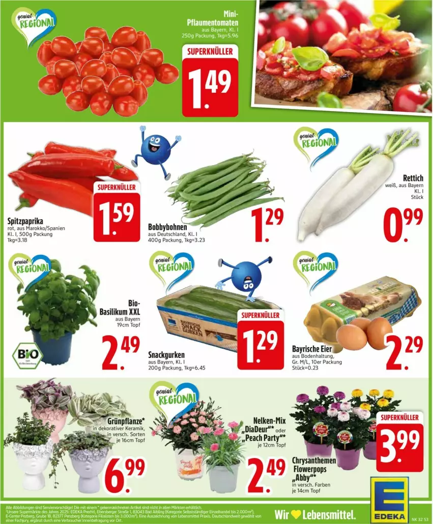 Aktueller Prospekt Edeka - Prospekte - von 04.08 bis 09.08.2025 - strona 5 - produkty: basilikum, bio, bohne, bohnen, chrysanthemen, deka, eier, gurke, gurken, paprika, pflanze, Rettich, snack, Spitzpaprika, Ti, topf