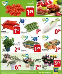 Gazetka promocyjna Edeka - Prospekte - Gazetka - ważna od 09.08 do 09.08.2025 - strona 5 - produkty: basilikum, bio, bohne, bohnen, chrysanthemen, deka, eier, gurke, gurken, paprika, pflanze, Rettich, snack, Spitzpaprika, Ti, topf