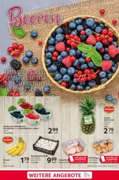 Gazetka promocyjna Selgros - Food - Gazetka - ważna od 19.07 do 19.07.2023 - strona 3 - produkty: ananas, banane, beere, beeren, brombeere, brombeeren, champignon, champignons, eis, heidelbeere, heidelbeeren, himbeer, himbeere, himbeeren, johannisbeere, Johannisbeeren, Pfifferlinge, pilze, reis, Schal, Schale, Steinpilze, Ti