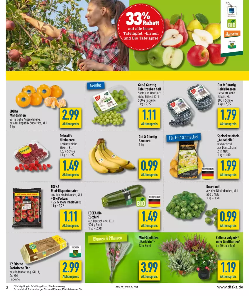 Aktueller Prospekt Diska - Prospekte - von 12.09 bis 17.09.2022 - strona 3 - produkty: aktionspreis, banane, bananen, beere, beeren, bio, burger, deka, driscoll's, edeka bio, eier, eis, elle, fisch, Gladiolen, heidelbeere, heidelbeeren, himbeer, himbeere, himbeeren, kartoffel, kartoffeln, LG, mandarine, mandarinen, mini-rispentomaten, reis, rispentomaten, rosen, Rosenkohl, Schal, Schale, speisekartoffeln, tafeläpfel, tafeltrauben, tee, Ti, tomate, tomaten, topf, trauben, zucchini