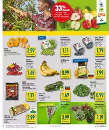 Gazetka promocyjna Diska - Prospekte - Gazetka - ważna od 17.09 do 17.09.2022 - strona 3 - produkty: aktionspreis, banane, bananen, beere, beeren, bio, burger, deka, driscoll's, edeka bio, eier, eis, elle, fisch, Gladiolen, heidelbeere, heidelbeeren, himbeer, himbeere, himbeeren, kartoffel, kartoffeln, LG, mandarine, mandarinen, mini-rispentomaten, reis, rispentomaten, rosen, Rosenkohl, Schal, Schale, speisekartoffeln, tafeläpfel, tafeltrauben, tee, Ti, tomate, tomaten, topf, trauben, zucchini