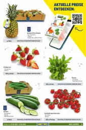 Gazetka promocyjna Metro - Food-Nonfood - Gazetka - ważna od 12.03 do 12.03.2025 - strona 9 - produkty: ananas, beere, beeren, cocktail, cola, eis, elle, erdbeere, erdbeeren, früchte, gurke, gurken, obst, reis, rispentomaten, rucola, Schal, Schale, Ti, tomate, tomaten