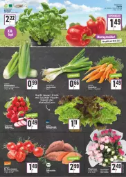 Gazetka promocyjna E Center - Angebote der Woche - Gazetka - ważna od 04.06 do 04.06.2022 - strona 3 - produkty: ball, basilikum, Bundmöhren, elle, kartoffel, kartoffeln, Lauchzwiebel, lauchzwiebeln, LG, möhren, paprika, Pfingstrosen, radieschen, rosen, salat, Schal, Schale, stauden, Süßkartoffeln, tee, Ti, topf, zwiebel, zwiebeln