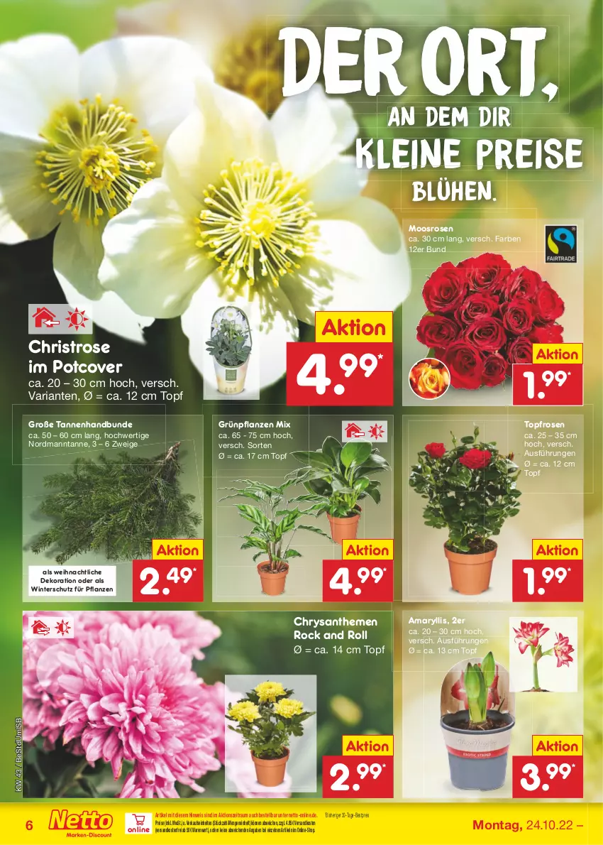 Aktueller Prospekt Netto Marken-Discount - Filial-Angebote - von 24.10 bis 29.10.2022 - strona 6 - produkty: bestpreis, chrysanthemen, dekoration, eis, Grünpflanzen, leine, ndk, pflanze, pflanzen, reis, Ria, rosen, Ti, topf, versandkostenfrei, Winterschutz