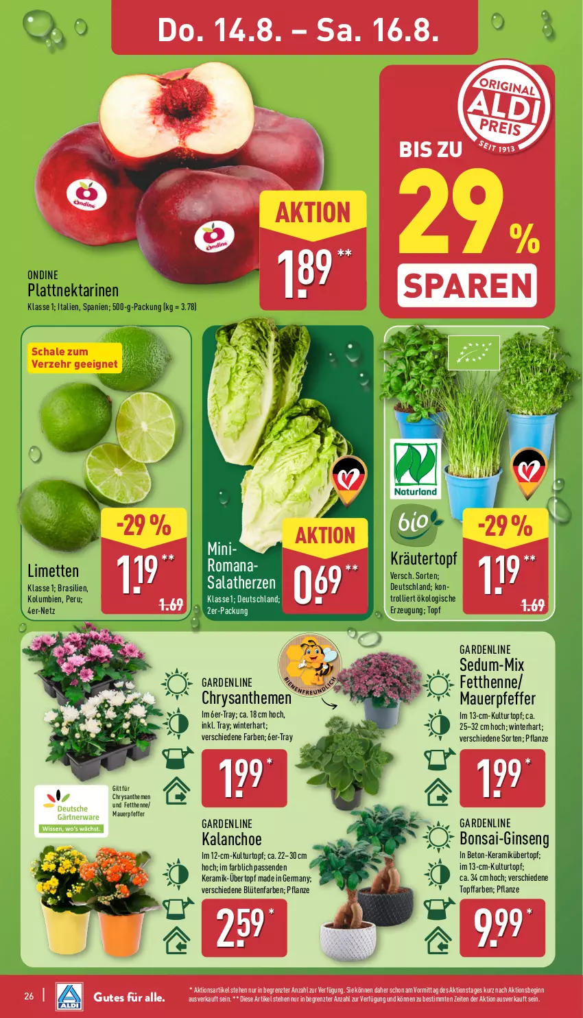 Aktueller Prospekt Aldi Nord - Von Montag - von 11.08 bis 16.08.2025 - strona 26 - produkty: auer, Blüte, chrysanthemen, Germ, gin, Kalanchoe, kräuter, kulturtopf, limette, limetten, Mett, metten, Nektar, nektarinen, pfeffer, pflanze, Romanasalat, salat, salatherzen, Schal, Schale, Ti, topf, trolli, übertopf, ZTE