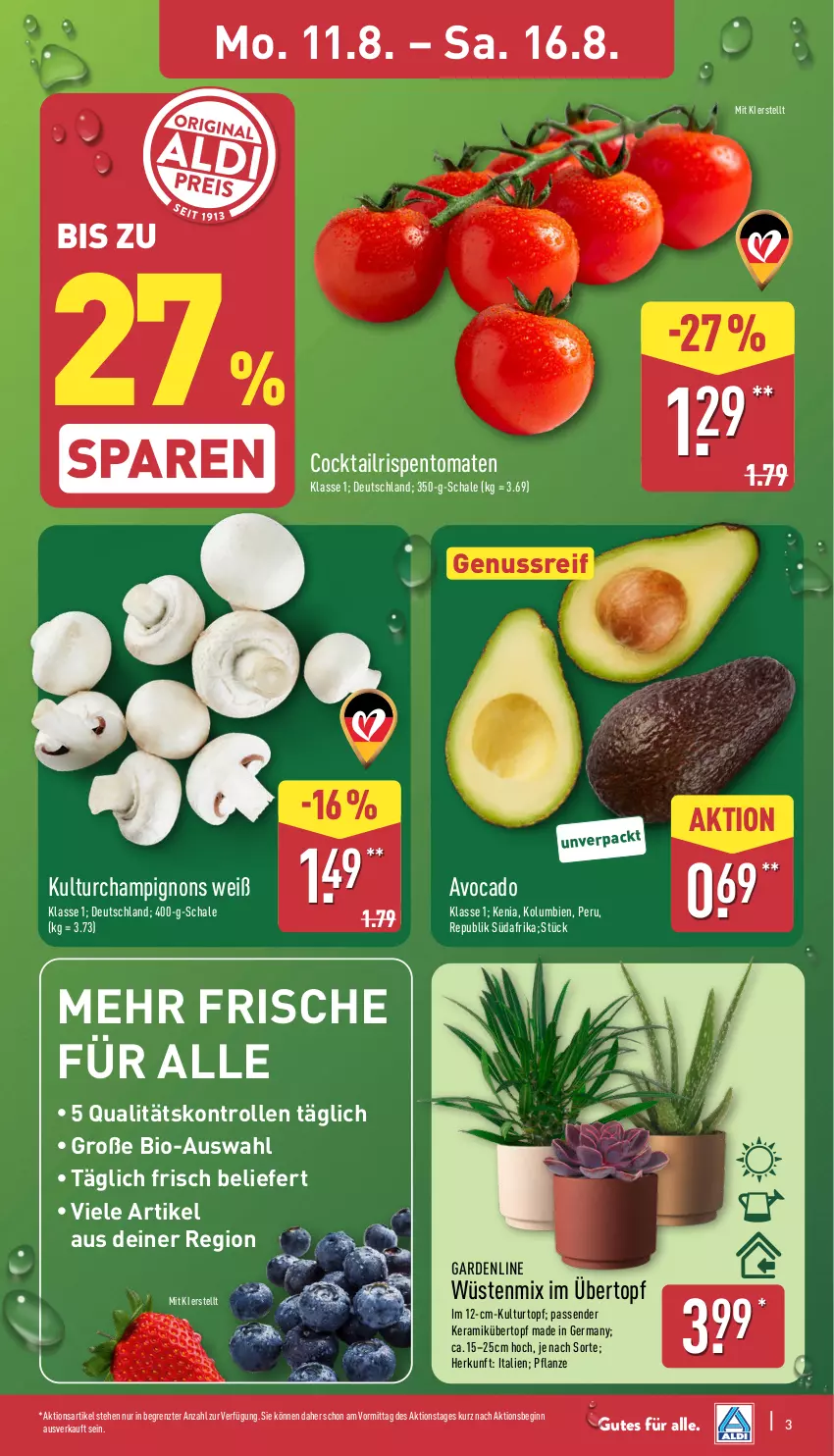 Aktueller Prospekt Aldi Nord - Von Montag - von 11.08 bis 16.08.2025 - strona 3 - produkty: avocado, bio, champignon, champignons, cocktail, Germ, gin, kulturtopf, nuss, pflanze, rispentomaten, Schal, Schale, Ti, tomate, tomaten, topf, übertopf, ZTE