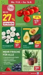 Gazetka promocyjna Aldi Nord - Von Montag - Gazetka - ważna od 16.08 do 16.08.2025 - strona 3 - produkty: avocado, bio, champignon, champignons, cocktail, Germ, gin, kulturtopf, nuss, pflanze, rispentomaten, Schal, Schale, Ti, tomate, tomaten, topf, übertopf, ZTE