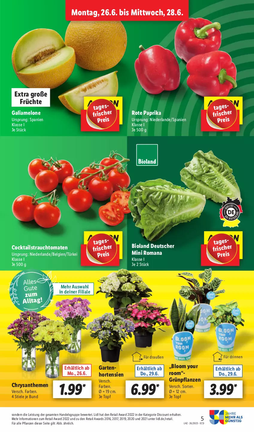 Aktueller Prospekt Lidl - Aktionsprospekt - von 26.06 bis 01.07.2023 - strona 5 - produkty: bio, bioland, chrysanthemen, cocktail, cocktails, discount, eis, früchte, galiamelone, Garten, Grünpflanzen, hortensie, hortensien, LG, melone, paprika, pflanze, pflanzen, Rauch, reis, strauchtomaten, Ti, tomate, tomaten, topf, Yo