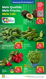 Gazetka promocyjna Lidl - Aktionsprospekt - Gazetka - ważna od 01.07 do 01.07.2023 - strona 40 - produkty: avocado, basilikum, eis, grill, gurke, gurken, ndk, paprika, radieschen, reis, Schal, Schale, snack, Ti, topf