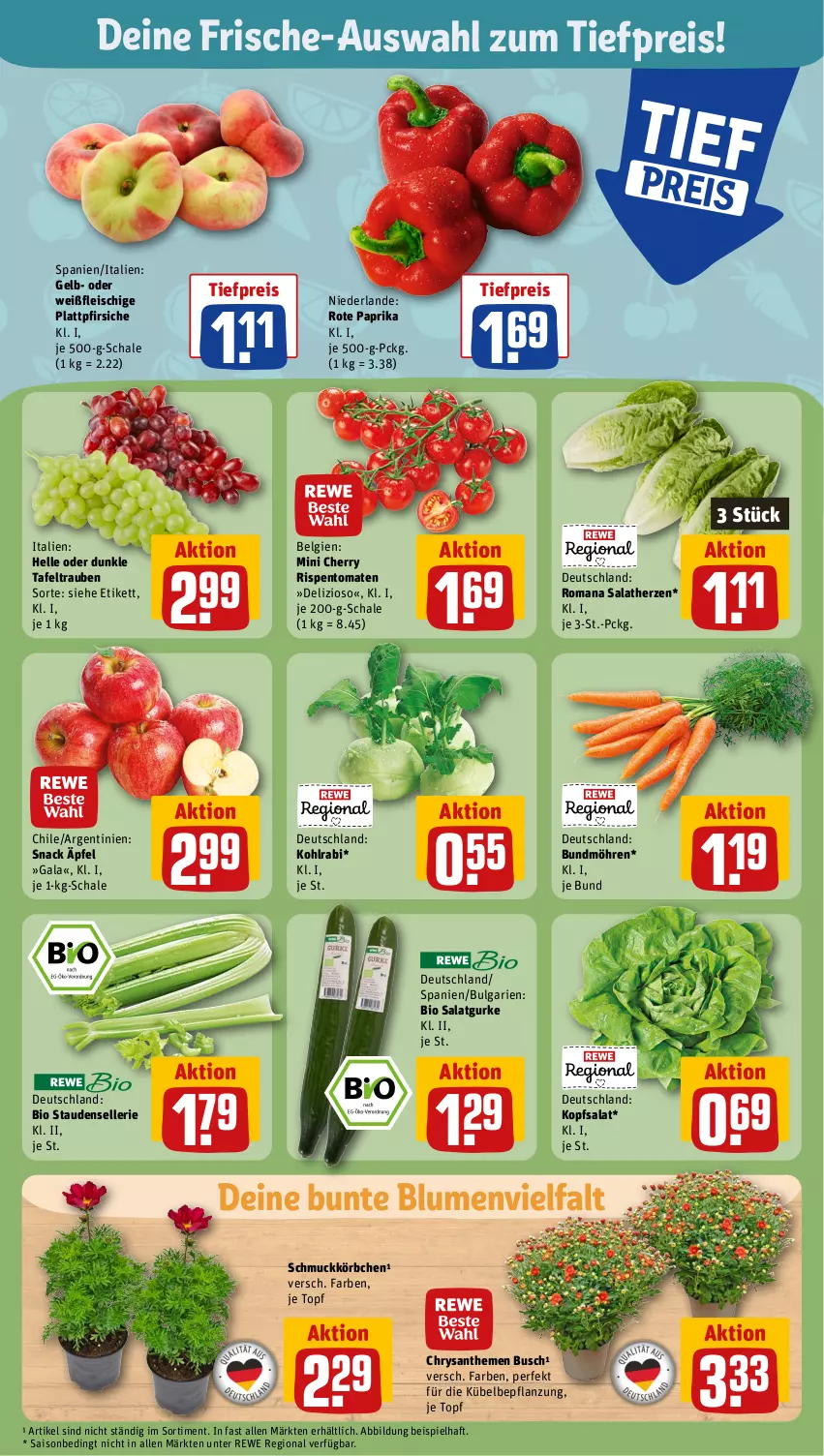 Aktueller Prospekt Rewe - Prospekte - von 03.07 bis 08.07.2023 - strona 11 - produkty: bio, blume, blumen, Bundmöhren, chrysanthemen, eis, elle, fleisch, gurke, kohlrabi, kopfsalat, Körbchen, LG, möhren, paprika, pfirsich, pfirsiche, plattpfirsiche, reis, rispentomaten, salat, Salatgurke, salatherzen, Schal, Schale, Schmuck, snack, stauden, tafeltrauben, Ti, tiefpreis, tomate, tomaten, topf, trauben