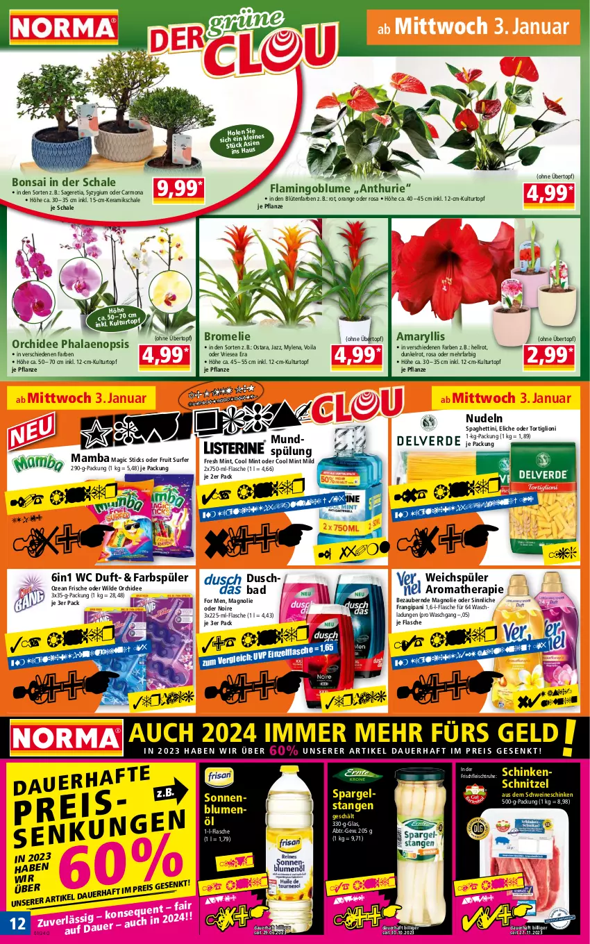 Aktueller Prospekt Norma - Norma - von 02.01 bis 09.01.2023 - strona 12 - produkty: auer, Bad, blume, blumen, blumenöl, Blüte, Bromelie, duschbad, eis, flasche, fleisch, gin, kulturtopf, lion, mam, mint, mundspülung, nudel, nudeln, orange, orchidee, pflanze, phalaenopsis, reis, Schal, Schale, schinken, schinkenschnitzel, schnitzel, schwein, schweine, sonnenblume, sonnenblumen, sonnenblumenöl, spaghetti, spargel, spülung, ssd, Surf, Ti, topf, übertopf, weichspüler, wein, weine, Wild