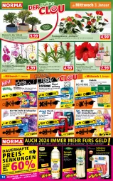 Gazetka promocyjna Norma - Norma - Gazetka - ważna od 09.01 do 09.01.2023 - strona 12 - produkty: auer, Bad, blume, blumen, blumenöl, Blüte, Bromelie, duschbad, eis, flasche, fleisch, gin, kulturtopf, lion, mam, mint, mundspülung, nudel, nudeln, orange, orchidee, pflanze, phalaenopsis, reis, Schal, Schale, schinken, schinkenschnitzel, schnitzel, schwein, schweine, sonnenblume, sonnenblumen, sonnenblumenöl, spaghetti, spargel, spülung, ssd, Surf, Ti, topf, übertopf, weichspüler, wein, weine, Wild