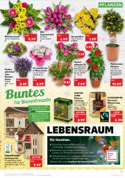 Gazetka promocyjna Kaufland - Gazetka - ważna od 20.04 do 20.04.2022 - strona 15 - produkty: angebot, angebote, blume, blumen, Blüte, blütenhonig, dip, dipladenia, Garten, Gartenpflanze, Holz, honig, käfer, Mett, pflanze, pflanzen, Ria, Schmetterling, sekt, Ti, topf, Wild